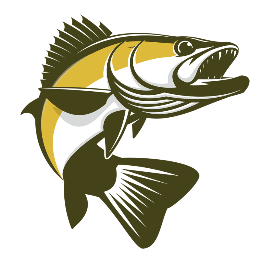 Walleye